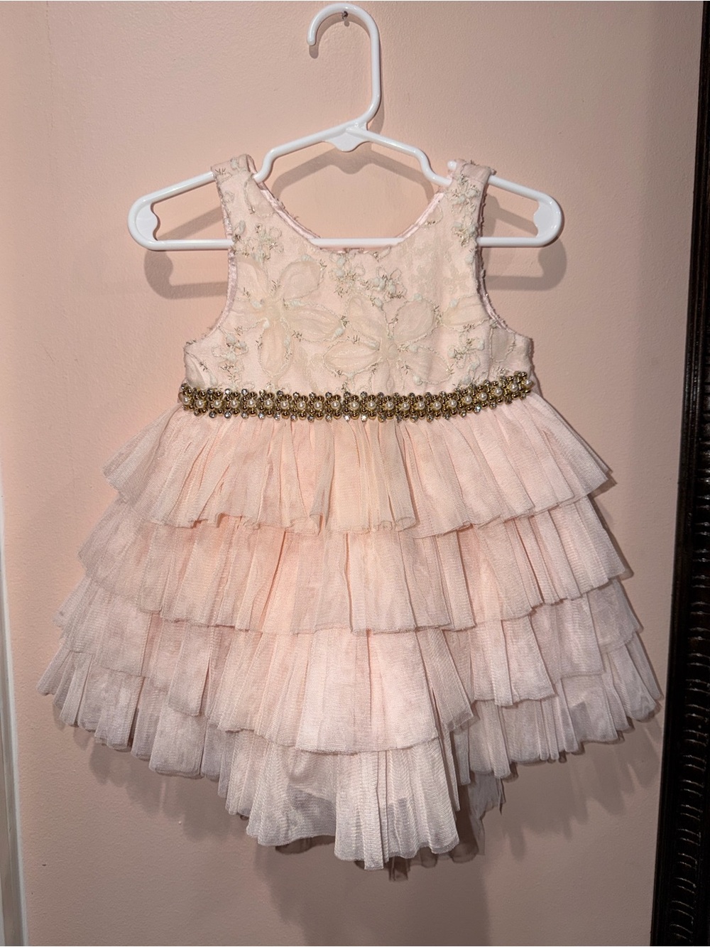American Princess Pink Dress with Gold Thread Floral Embroidery